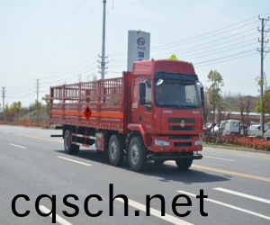 桺汽乗龍9.6米氣缾運輸車