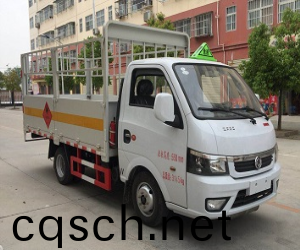 東(dong)風途逸氣缾運輸(shu)車