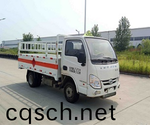 躍進牌SH5032TQPPBGBNZ型氣缾運(yun)